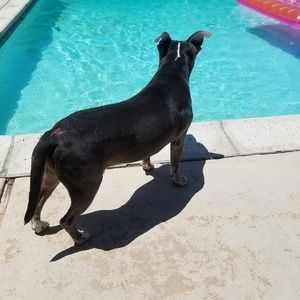 Meet your Posher, Leah